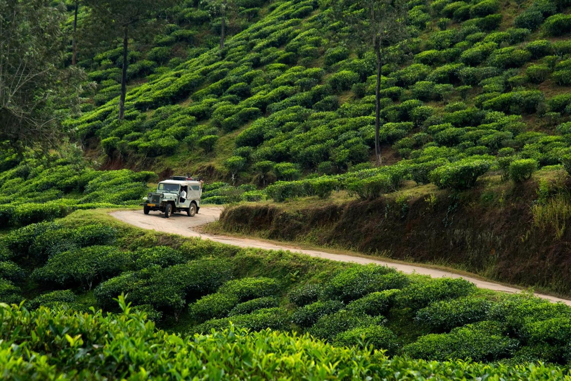 Spicegreen Homestay,Thekkady Εξωτερικό φωτογραφία