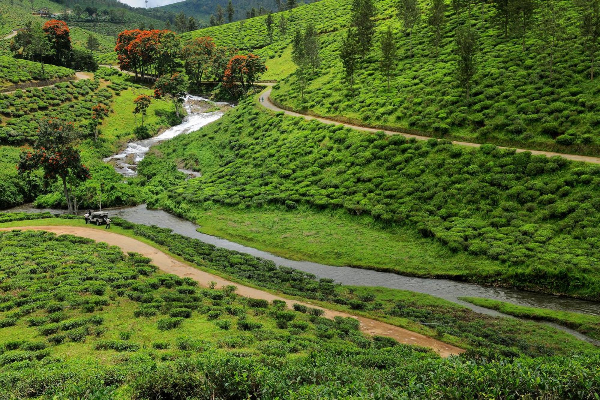 Spicegreen Homestay,Thekkady Εξωτερικό φωτογραφία