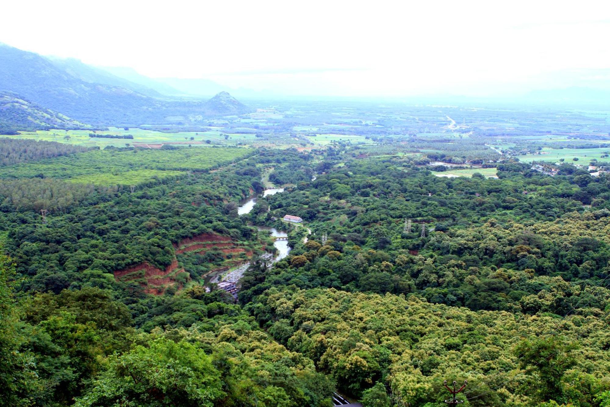 Spicegreen Homestay,Thekkady Εξωτερικό φωτογραφία