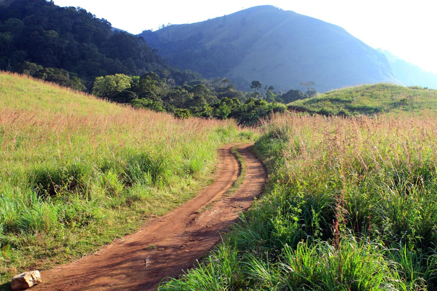 Spicegreen Homestay,Thekkady Εξωτερικό φωτογραφία